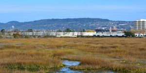MLK Regional Shoreline Park wetland