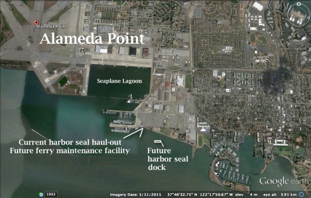 alameda-point-south-with-harbor-seal-haul-out
