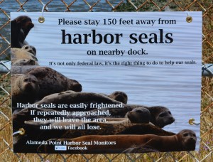 Harbor seal sign Alameda Point